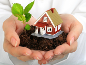 Vay theo hợp đồng bảo hiểm